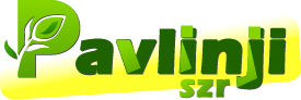 Pavlinji